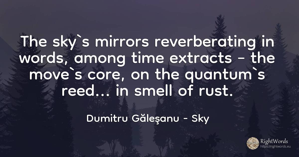 The sky`s mirrors reverberating in words, among time... - Dumitru Găleşanu, quote about sky