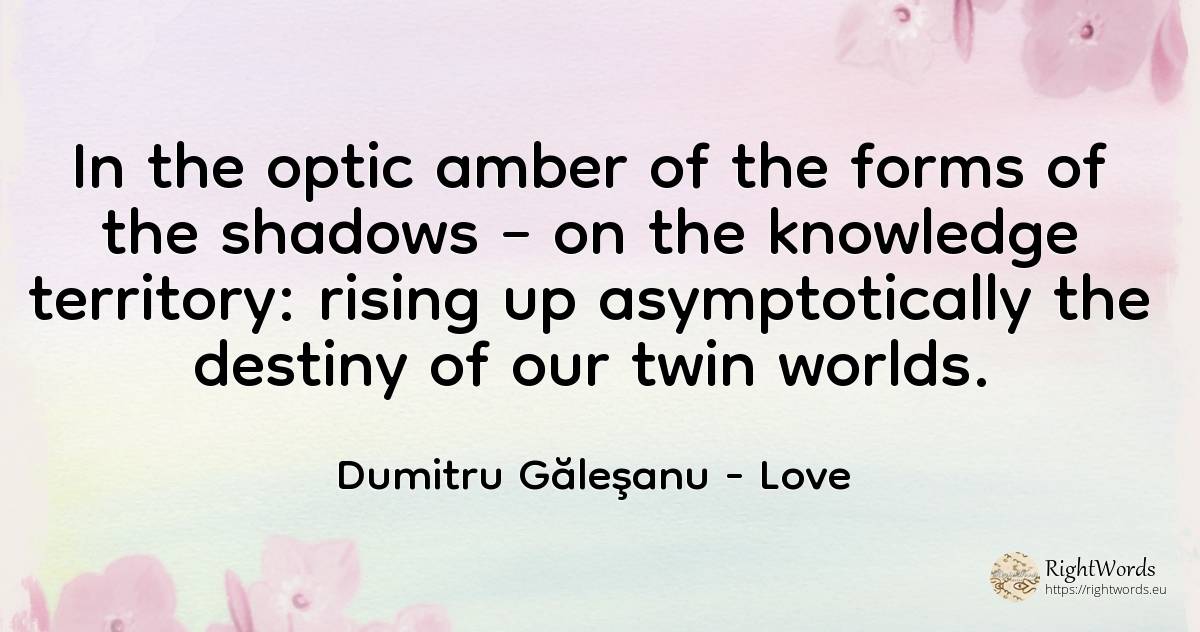 In the optic amber of the forms of the shadows – on the... - Dumitru Găleşanu, quote about love