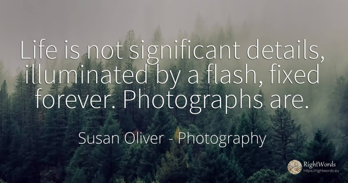Life is not significant details, illuminated by a flash, ... - Susan Oliver, quote about photography, life