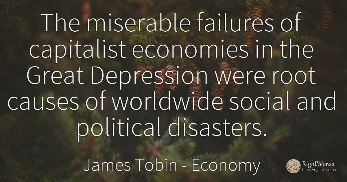 The miserable failures of capitalist economies in the... - James Tobin, quote about economy, disaster, depression