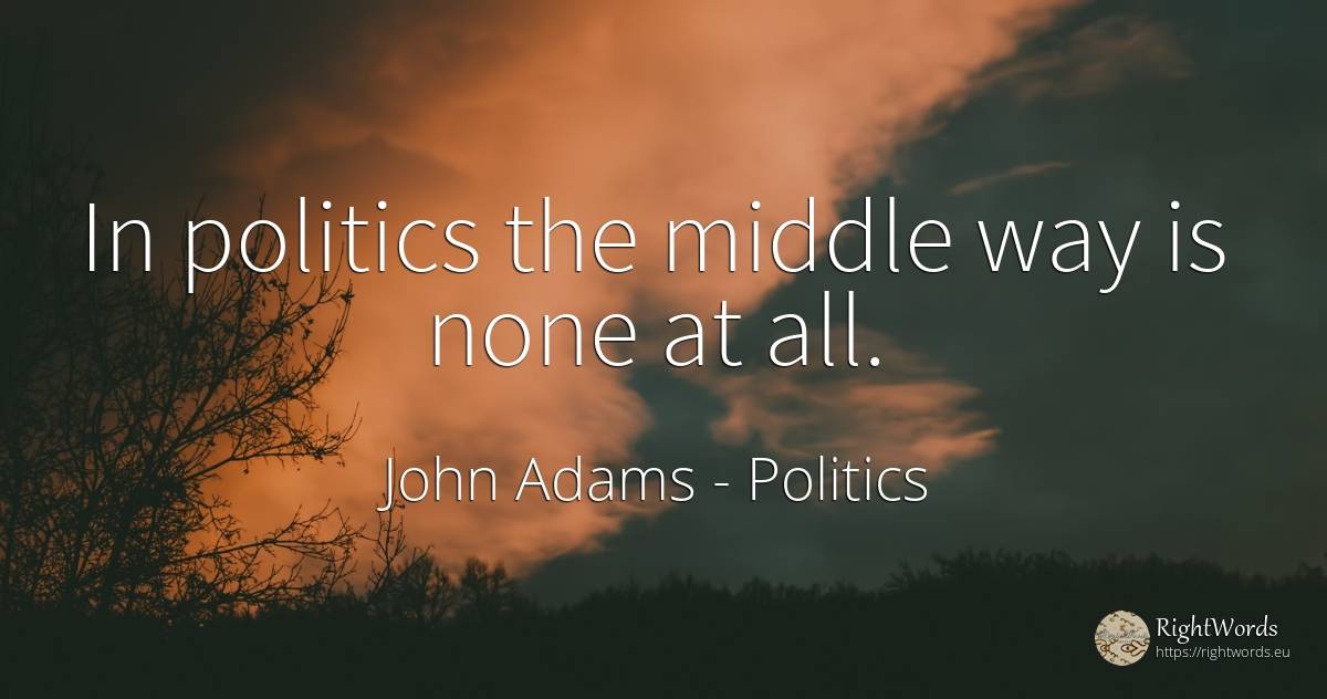 In politics the middle way is none at all. - John Adams, quote about politics
