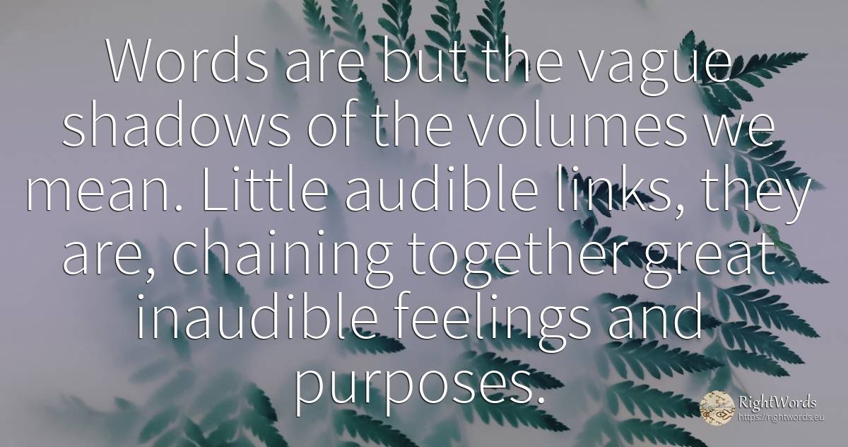 Words are but the vague shadows of the volumes we mean.... - Theodore Herman Albert Dreiser, quote about word, feelings