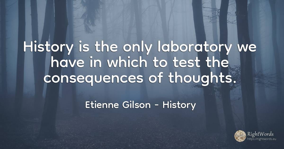History is the only laboratory we have in which to test... - Etienne Gilson, quote about history, consequences, tests