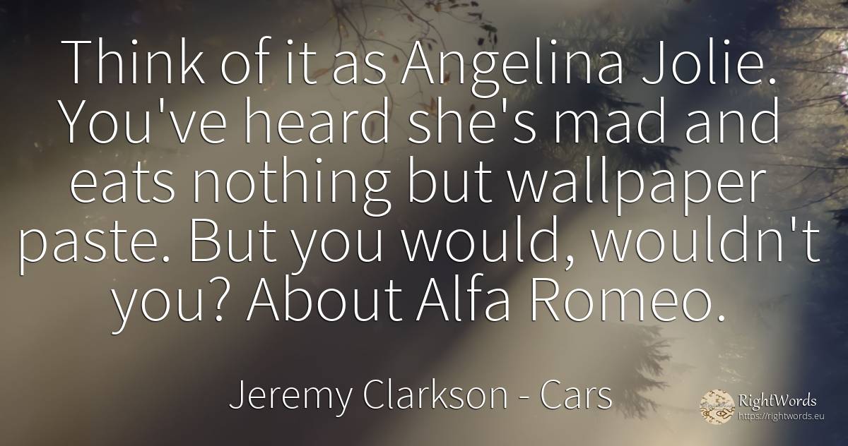 Think of it as Angelina Jolie. You've heard she's mad and... - Jeremy Clarkson, quote about cars, nothing