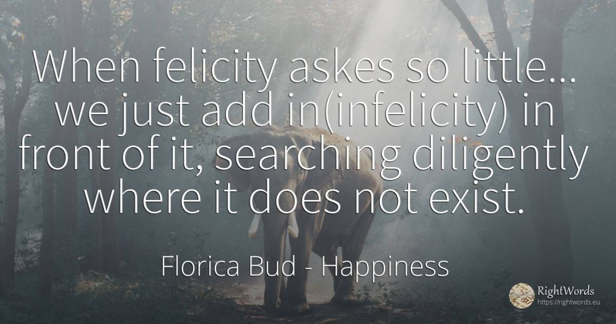 When felicity askes so little... we just add... - Florica Bud, quote about happiness, searching