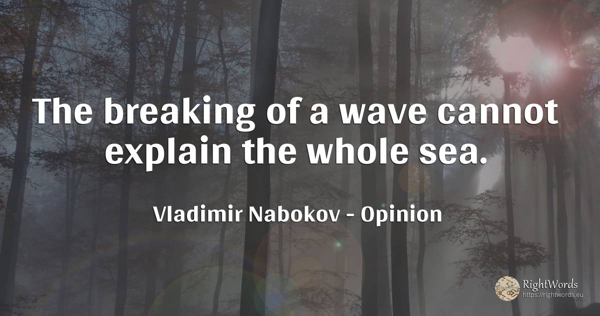 The breaking of a wave cannot explain the whole sea. - Vladimir Nabokov, quote about opinion