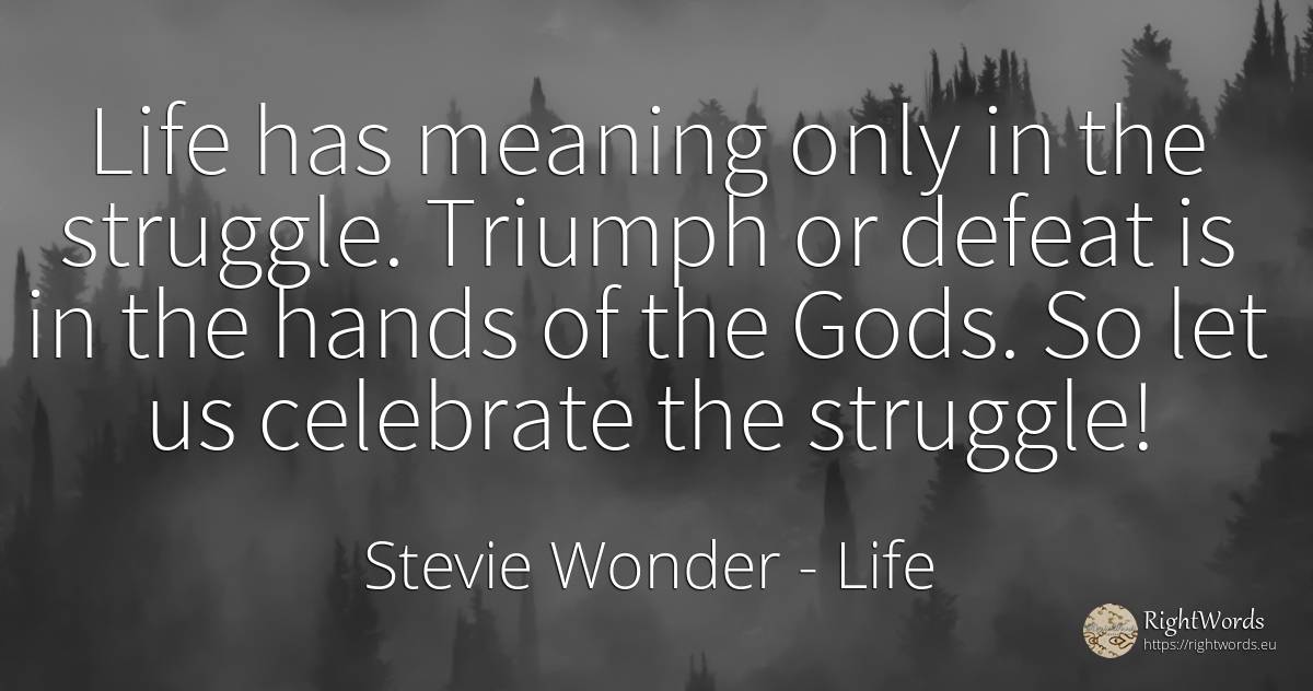 Life has meaning only in the struggle. Triumph or defeat... - Stevie Wonder, quote about life, fight, defeat