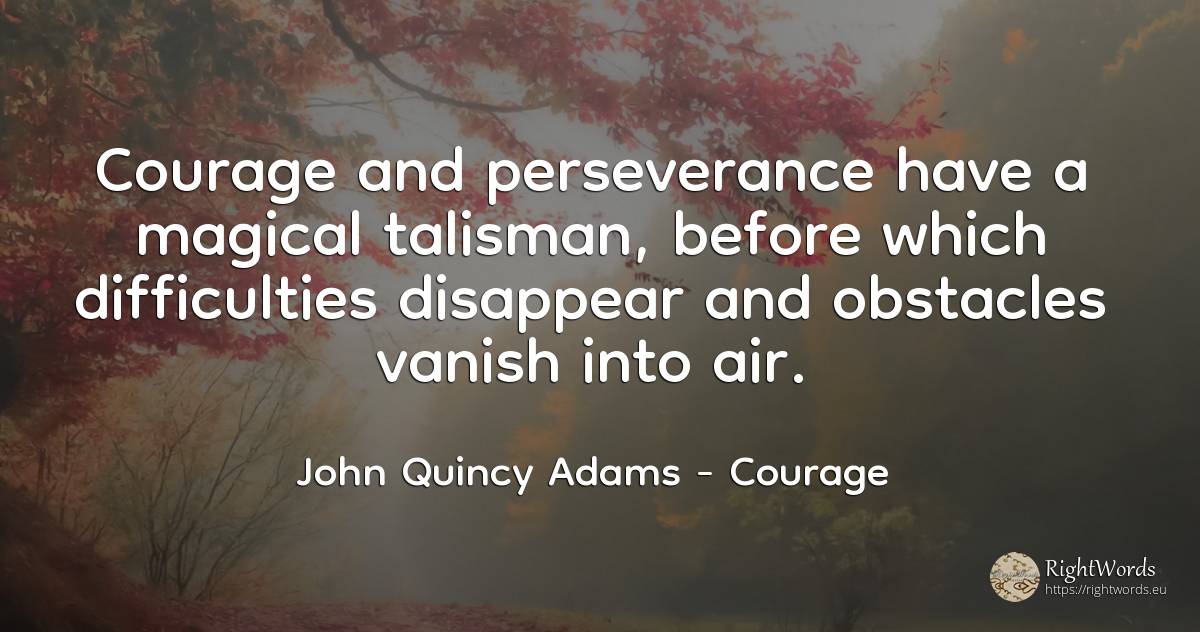 Courage and perseverance have a magical talisman, before... - John Quincy Adams, quote about courage, perseverance, difficulties, obstacles, air