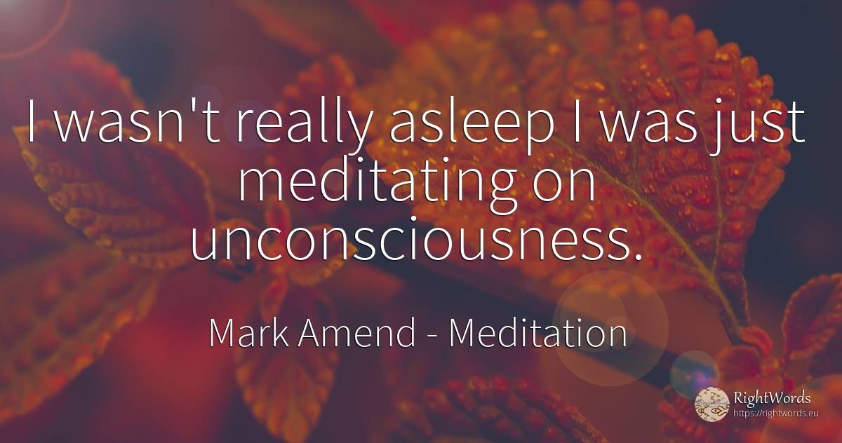 I wasn't really asleep I was just meditating on... - Mark Amend, quote about meditation, thinking