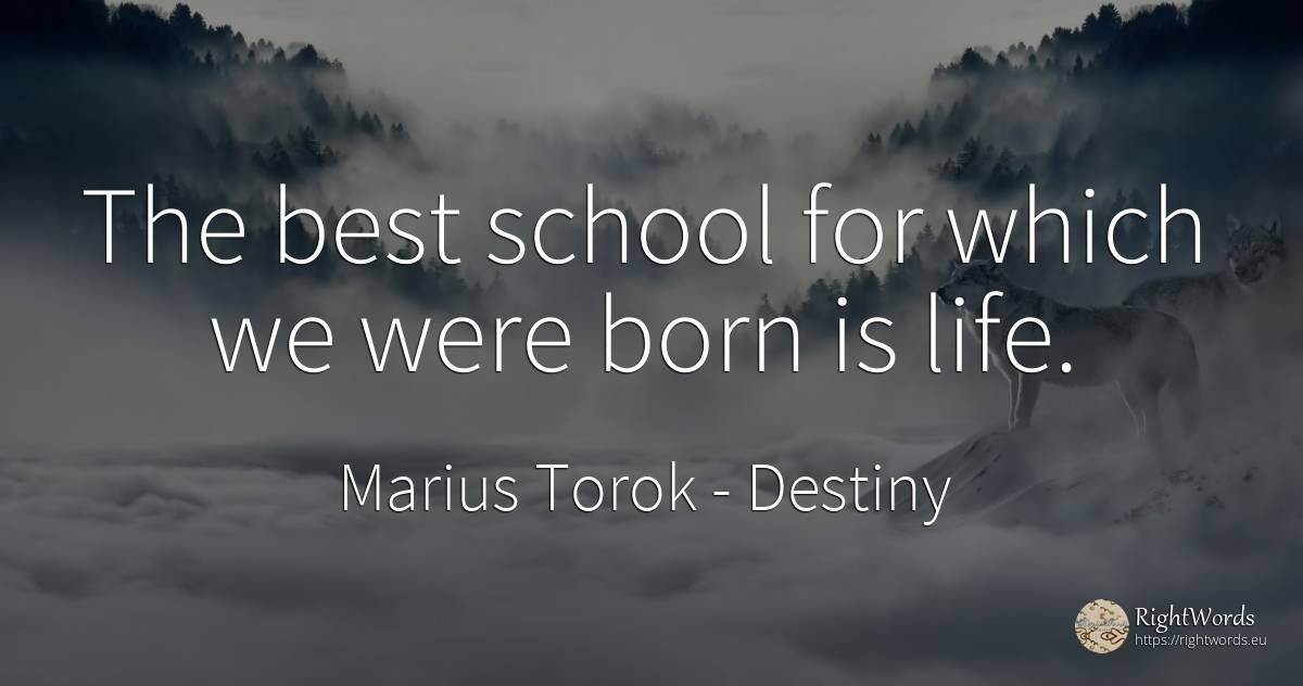 The best school for which we were born is life. - Marius Torok (Darius Domcea), quote about destiny, school, life