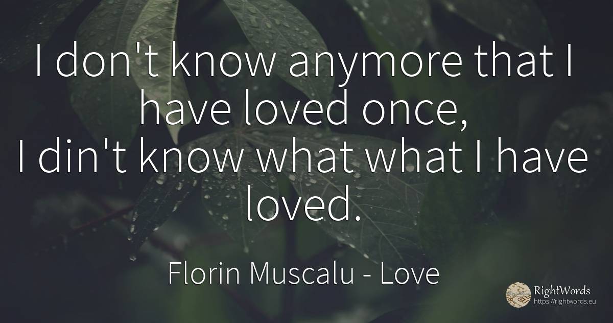 I don't know anymore that I have loved once, I din't know... - Florin Muscalu, quote about love