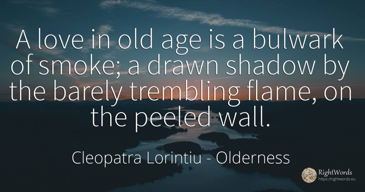 A love in old age is a bulwark of smoke; a drawn shadow... - Cleopatra Lorintiu, quote about olderness, smoke, shadow, age, old, love