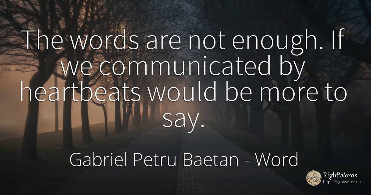 The words are not enough. If we communicated by... - Gabriel Petru Baetan, quote about word