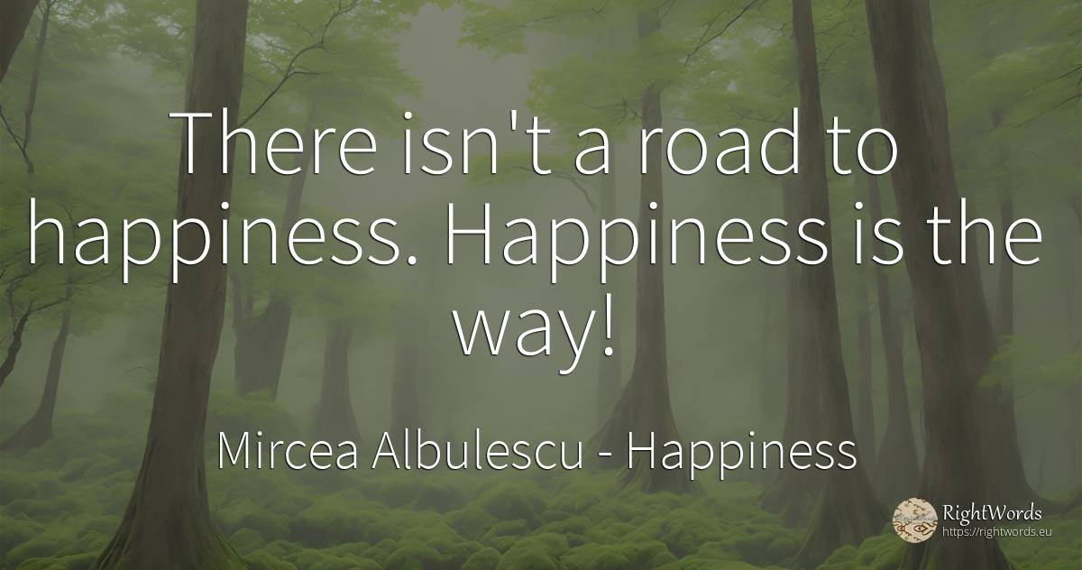 There isn't a road to happiness. Happiness is the way! - Mircea Albulescu (Iorgu Constantin V. Albulescu), quote about happiness
