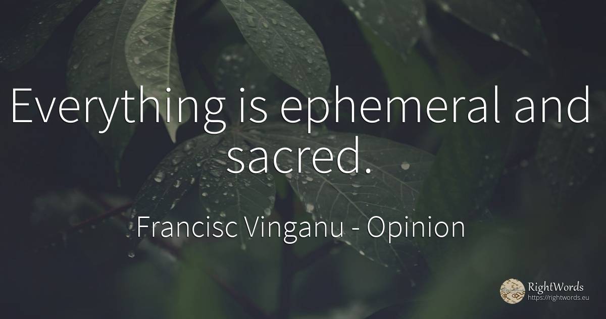 Everything is ephemeral and sacred. - Francisc Vinganu (Francisc Meghes), quote about opinion
