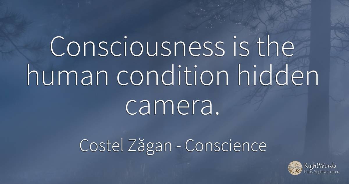 Consciousness is the human condition hidden camera. - Costel Zăgan, quote about conscience, human imperfections