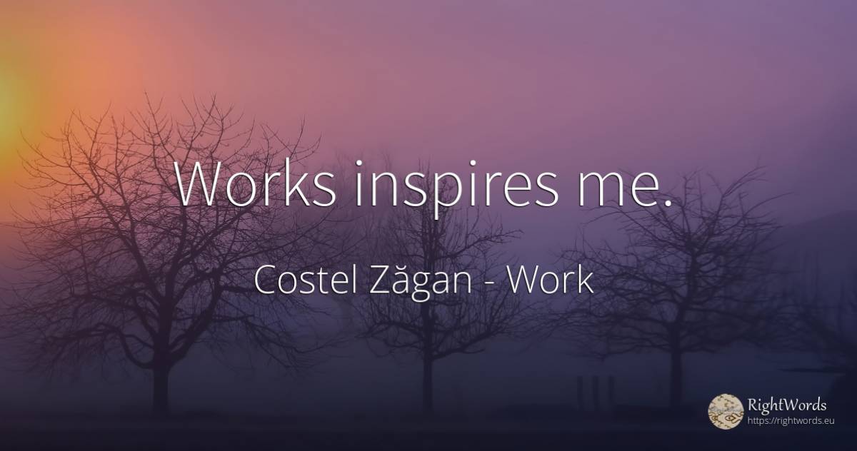 Works inspires me. - Costel Zăgan, quote about work