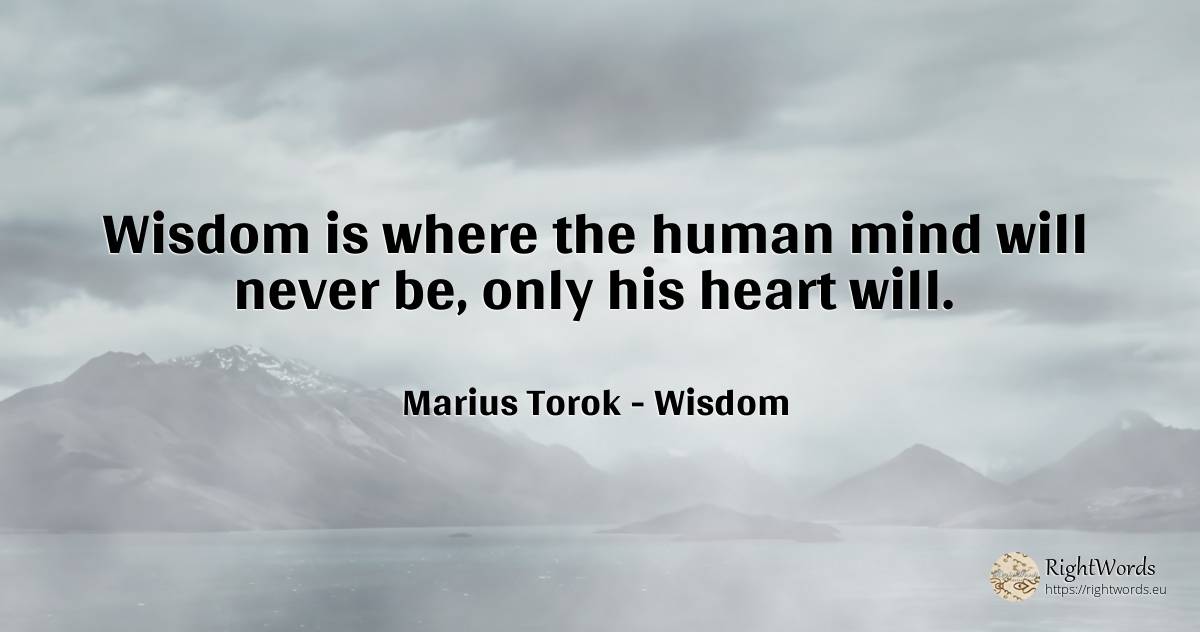 Wisdom is where the human mind will never be, only his... - Marius Torok (Darius Domcea), quote about wisdom, heart, mind, human imperfections