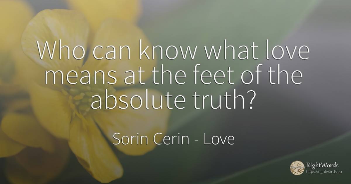 Who can know what love means at the feet of the absolute... - Sorin Cerin, quote about absolute, wisdom, truth, love