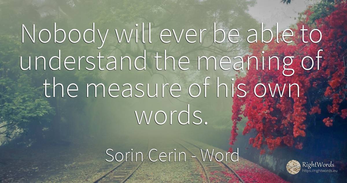Nobody will ever be able to understand the meaning of the... - Sorin Cerin, quote about word, measure, wisdom