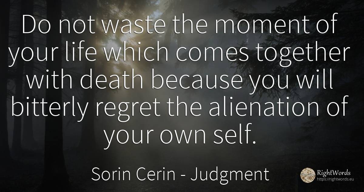 Do not waste the moment of your life which comes together... - Sorin Cerin, quote about judgment, regret, self-control, wisdom, death, moment, life