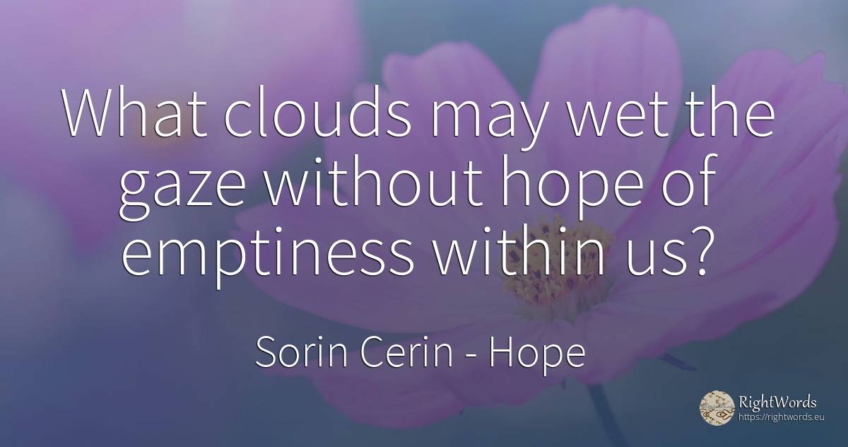 What clouds may wet the gaze without hope of emptiness... - Sorin Cerin, quote about hope, wisdom