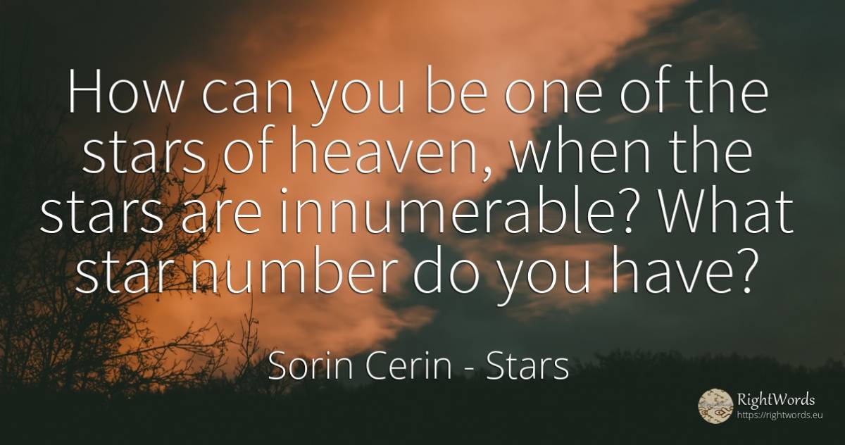 How can you be one of the stars of heaven, when the stars... - Sorin Cerin, quote about stars, celebrity, numbers, wisdom
