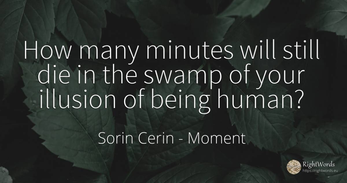 How many minutes will still die in the swamp of your... - Sorin Cerin, quote about moment, wisdom, human imperfections, being