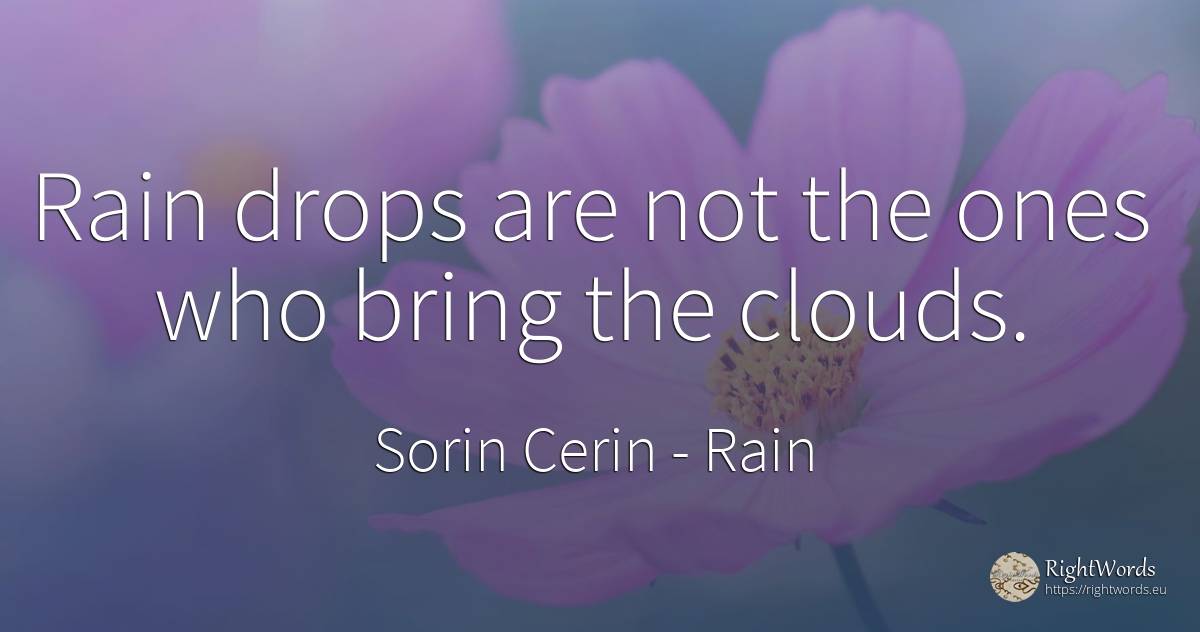 Rain drops are not the ones who bring the clouds. - Sorin Cerin, quote about rain, wisdom