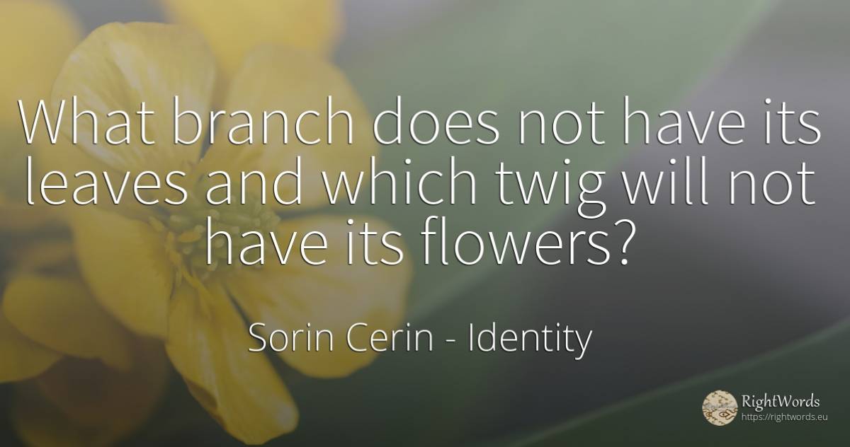 What branch does not have its leaves and which twig will... - Sorin Cerin, quote about identity, flowers, wisdom