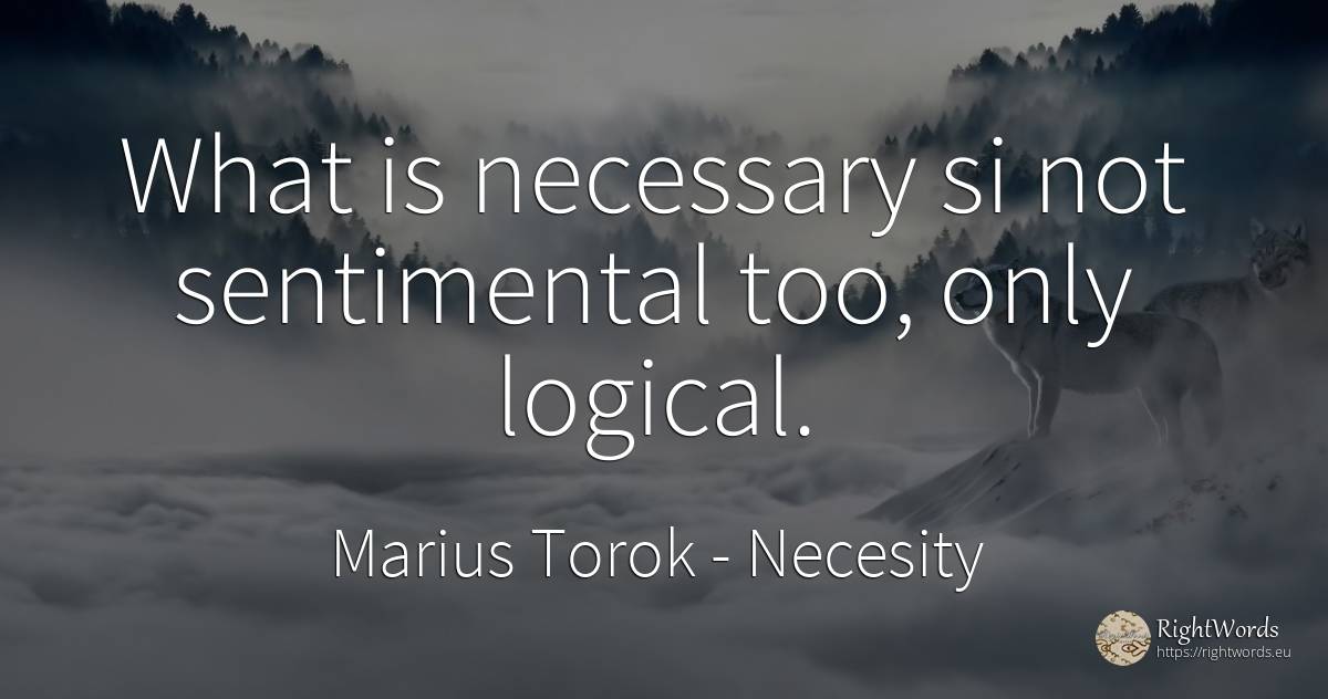 What is necessary si not sentimental too, only logical. - Marius Torok (Darius Domcea), quote about necesity