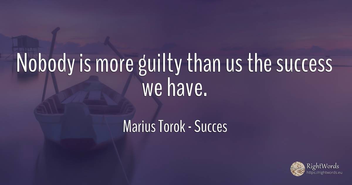 Nobody is more guilty than us the success we have. - Marius Torok (Darius Domcea), quote about succes