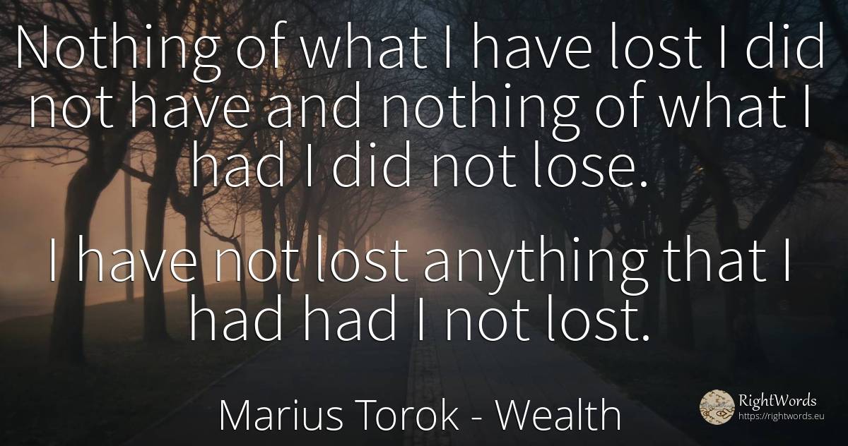 Nothing of what I have lost I did not have and nothing of... - Marius Torok (Darius Domcea), quote about wealth, nothing