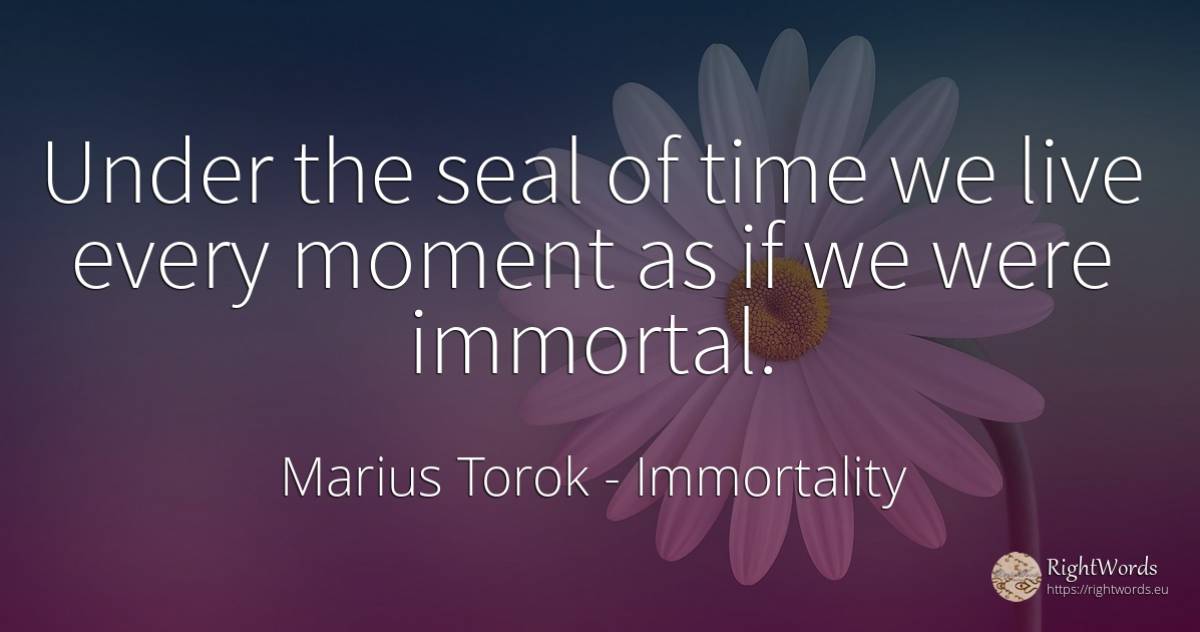 Under the seal of time we live every moment as if we were... - Marius Torok (Darius Domcea), quote about immortality, moment, time