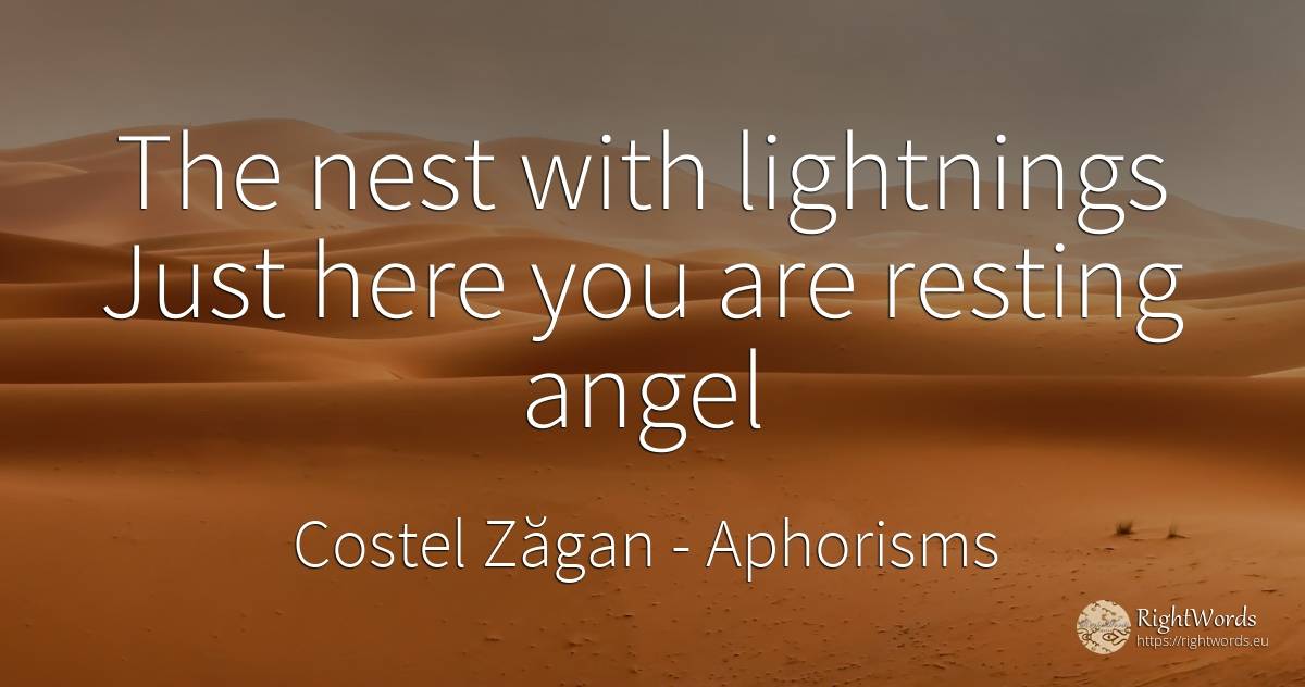 The nest with lightnings Just here you are resting angel - Costel Zăgan, quote about aphorisms