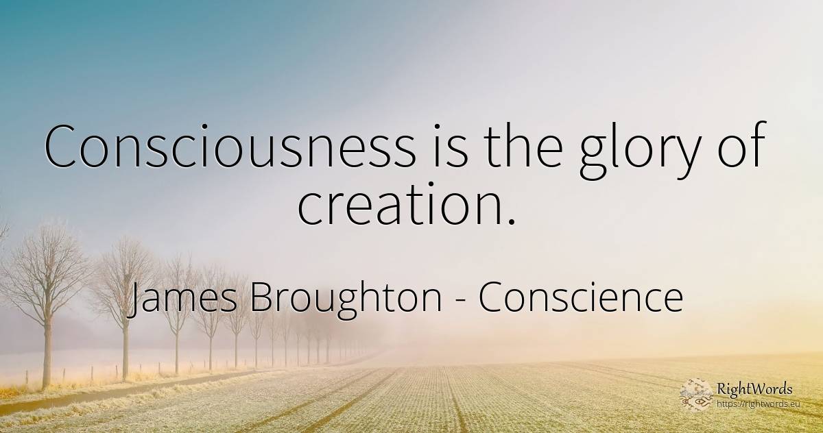Consciousness is the glory of creation. - James Broughton, quote about conscience, glory, creation