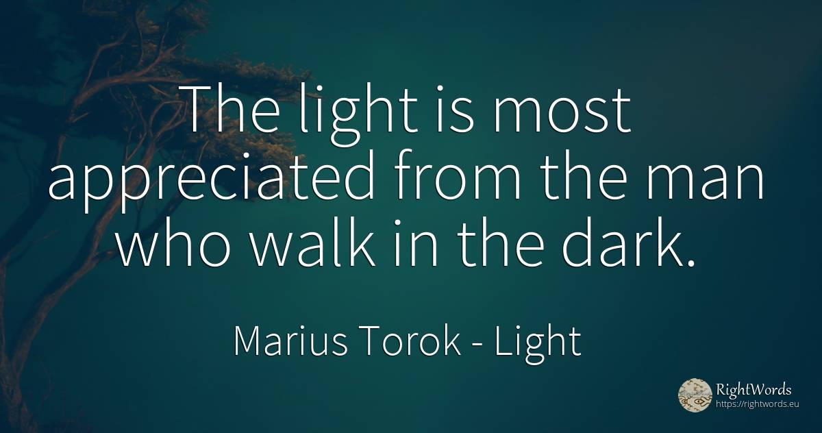 The light is most appreciated from the man who walk in... - Marius Torok (Darius Domcea), quote about light, dark, man