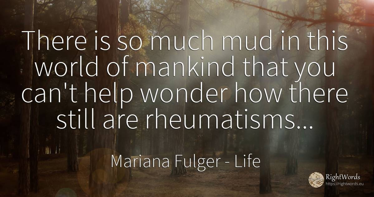 There is so much mud in this world of mankind that you... - Mariana Fulger, quote about life, miracle, help, world