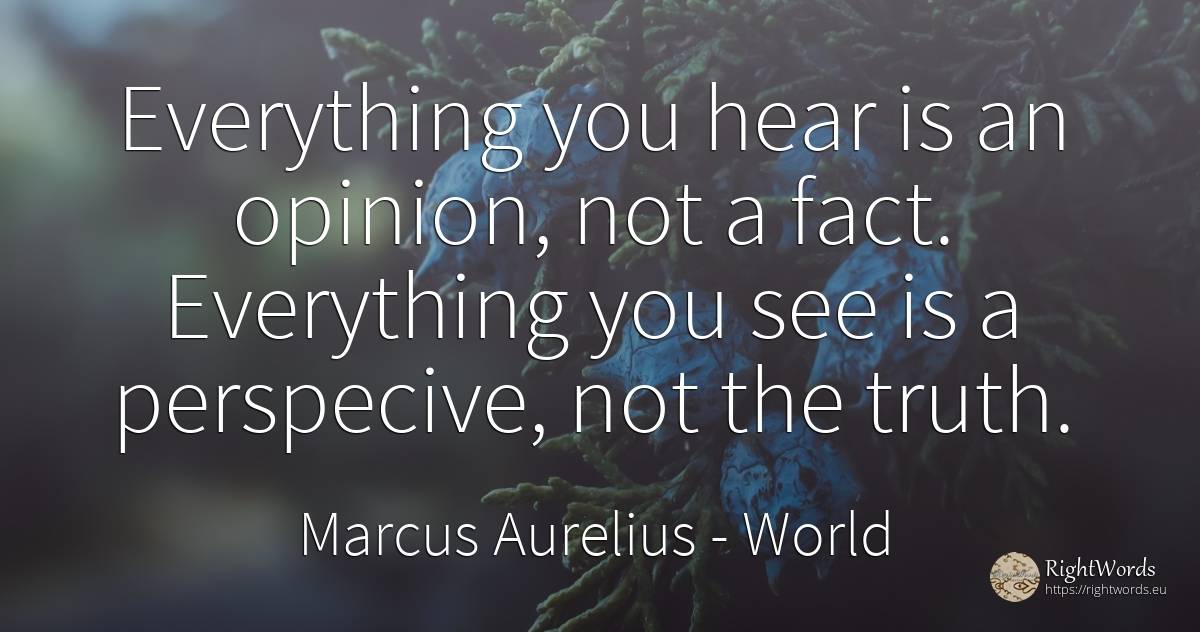Everything you hear is an opinion, not a fact. Everything... - Marcus Aurelius (Marcus Catilius Severus), quote about world, opinion, truth