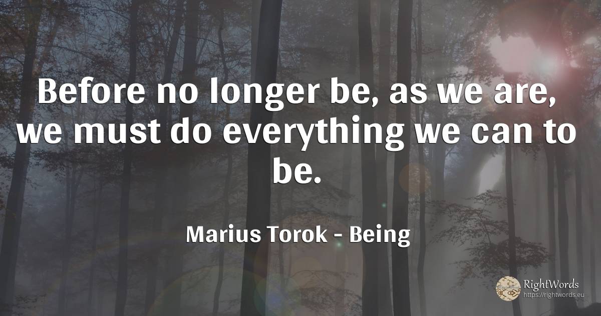 Before no longer be, as we are, we must do everything we... - Marius Torok (Darius Domcea), quote about being