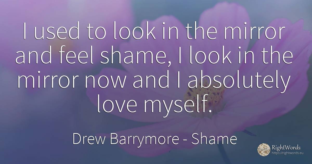 I used to look in the mirror and feel shame, I look in... - Drew Barrymore, quote about shame, love