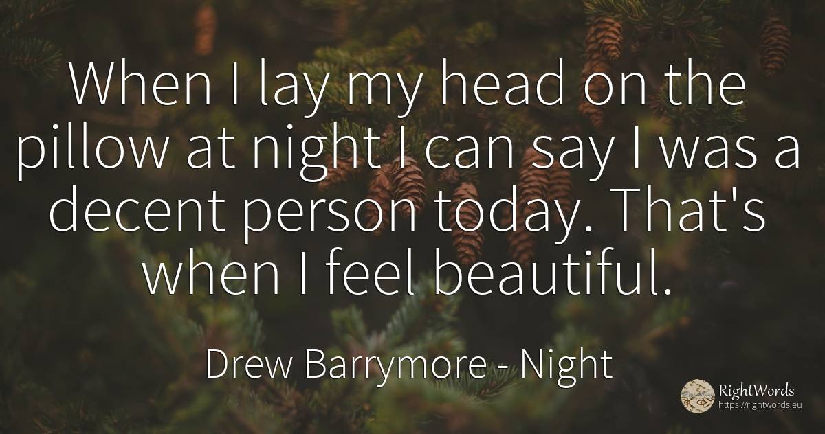 When I lay my head on the pillow at night I can say I was... - Drew Barrymore, quote about heads, night, people