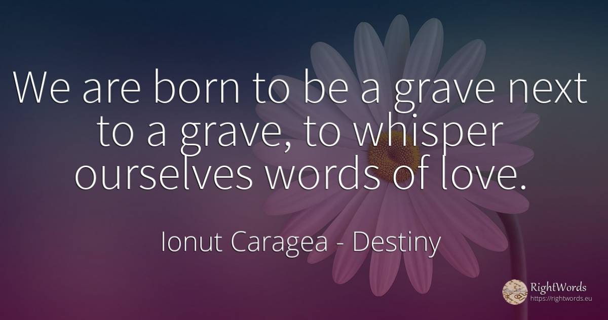 We are born to be a grave next to a grave, to whisper... - Ionuț Caragea (Snowdon King), quote about destiny, love