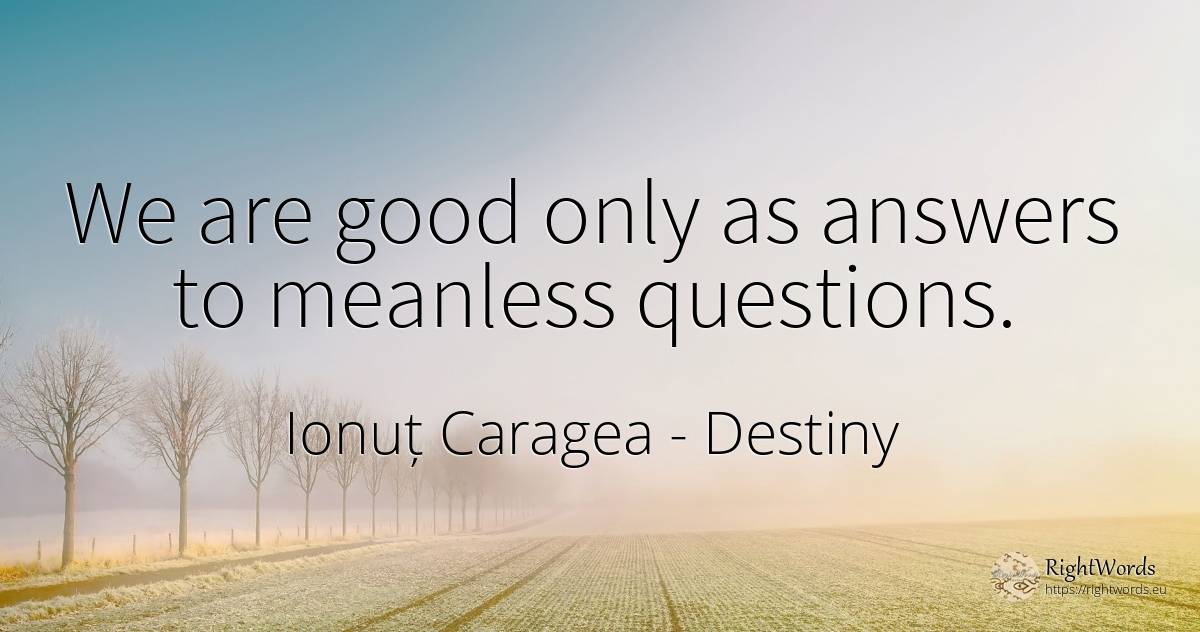 We are good only as answers to meanless questions. - Ionuț Caragea (Snowdon King), quote about destiny, good, good luck