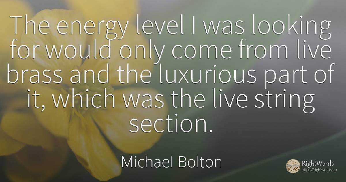 The energy level I was looking for would only come from... - Michael Bolton