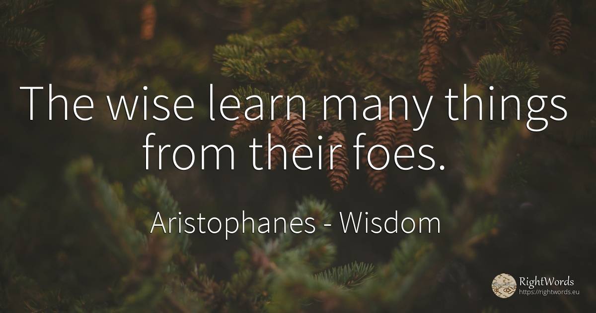 The wise learn many things from their foes. - Aristophanes, quote about wisdom, things