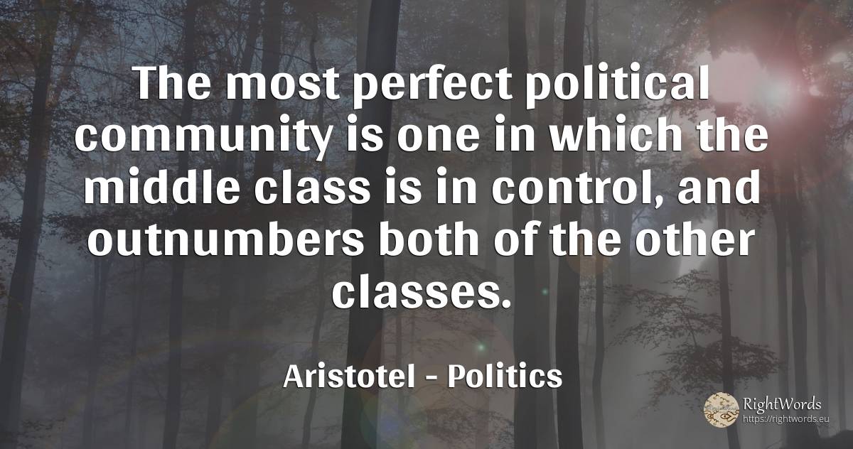 The most perfect political community is one in which the... - Aristotel, quote about politics, perfection