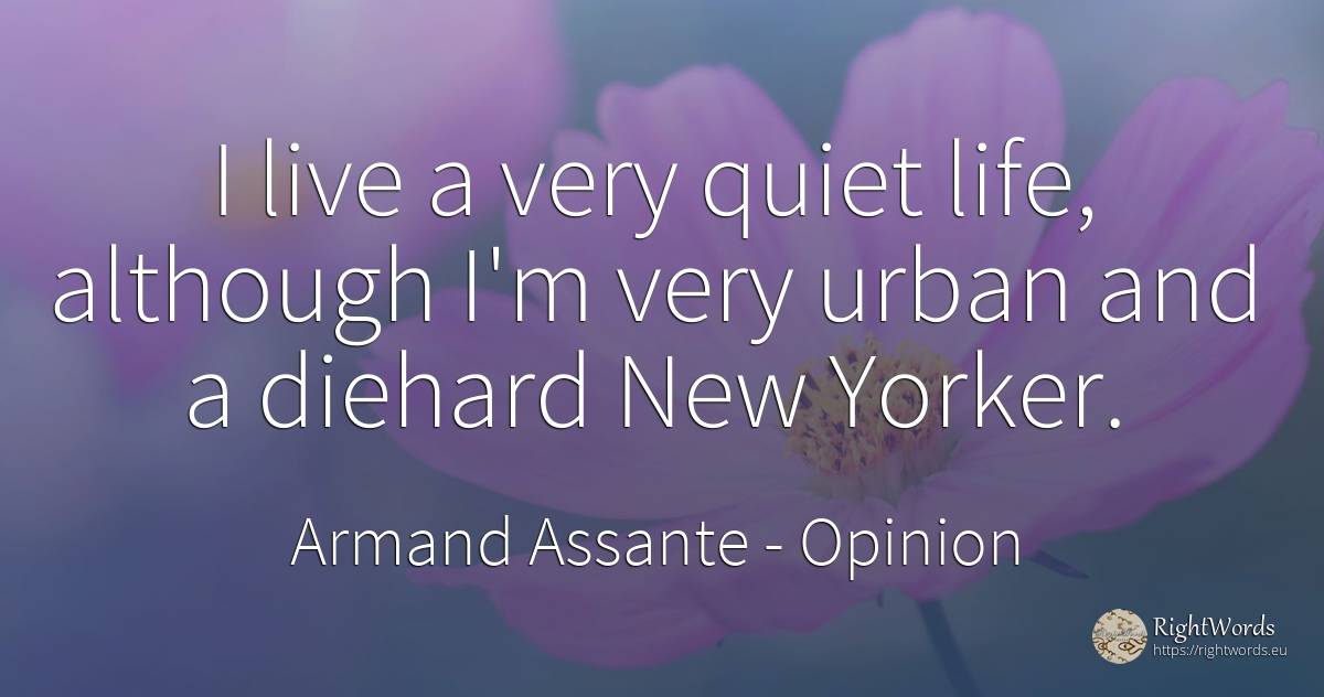 I live a very quiet life, although I'm very urban and a... - Armand Assante, quote about opinion, quiet, life