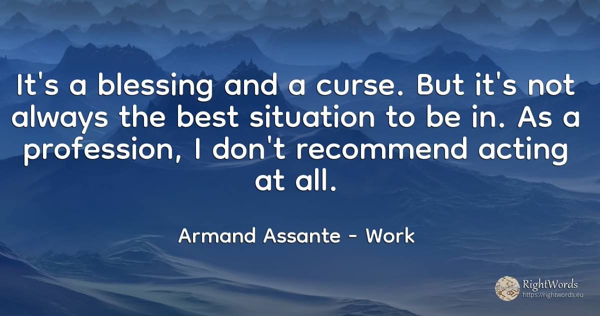 It's a blessing and a curse. But it's not always the best... - Armand Assante, quote about work