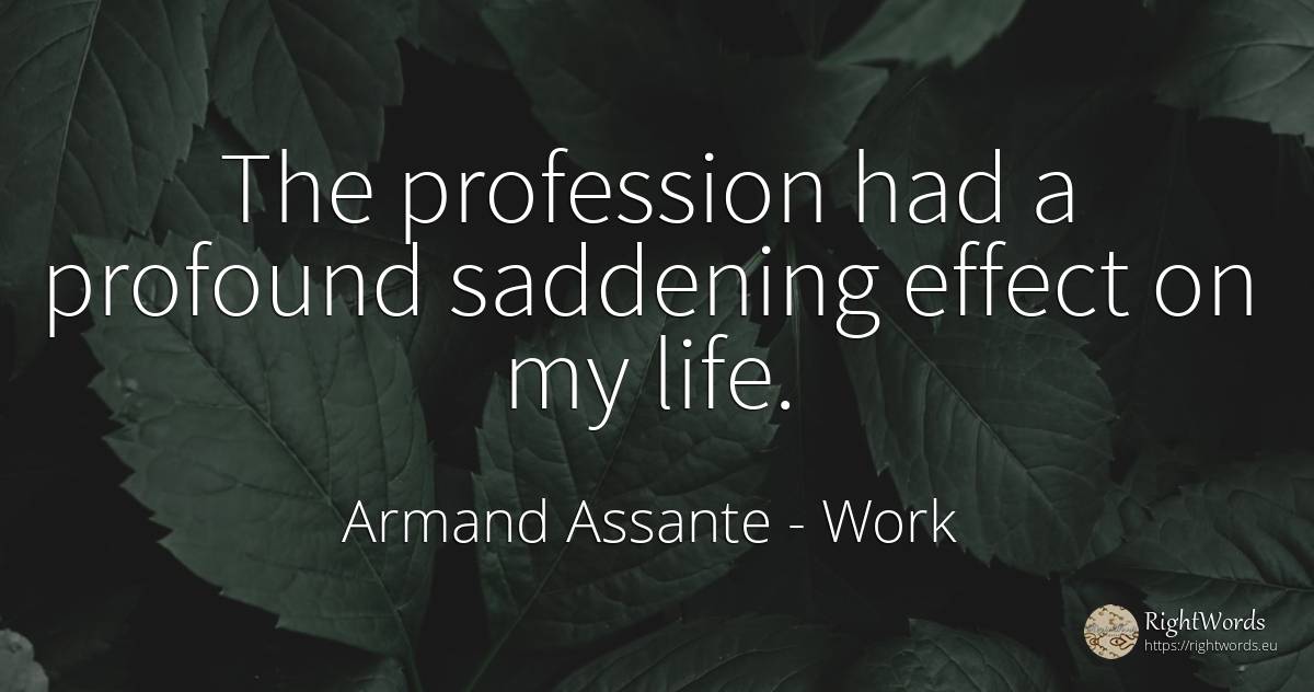 The profession had a profound saddening effect on my life. - Armand Assante, quote about work, life